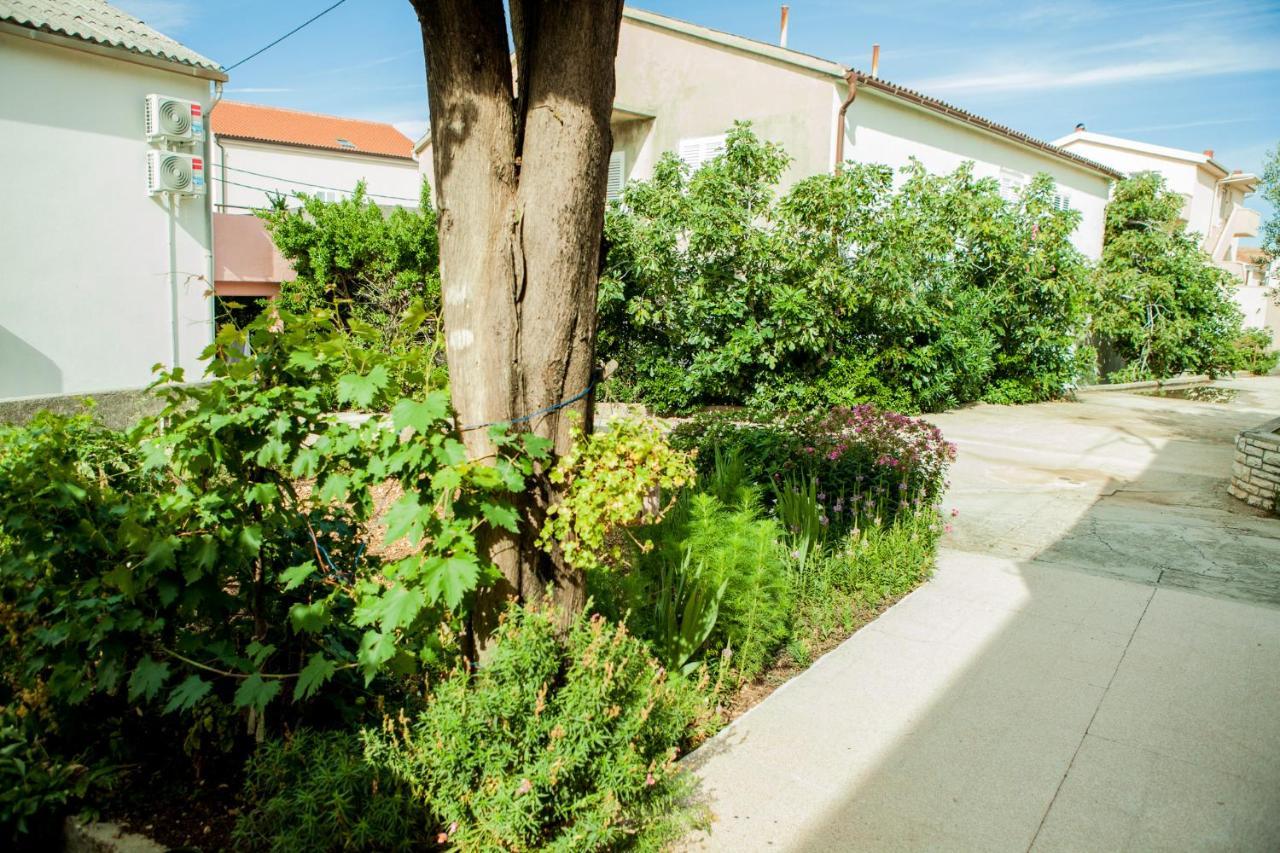Apartments Alma Новаля Екстериор снимка